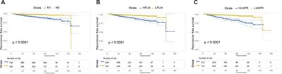 Long-term efficacy of lobectomy for stage T1 papillary thyroid carcinoma with varying degrees of lymph node metastasis